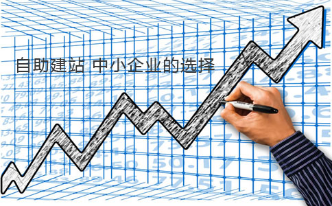 自助建站行業(yè)分析 自助建站行業(yè)分析