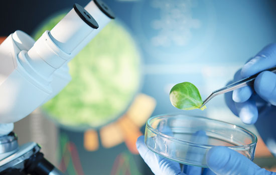 上海做網站公司關于生物網站案例 上海做網站公司關于生物網站案例